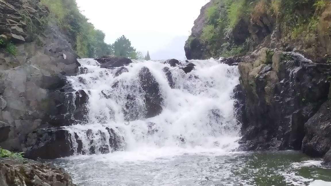 梦想牧场