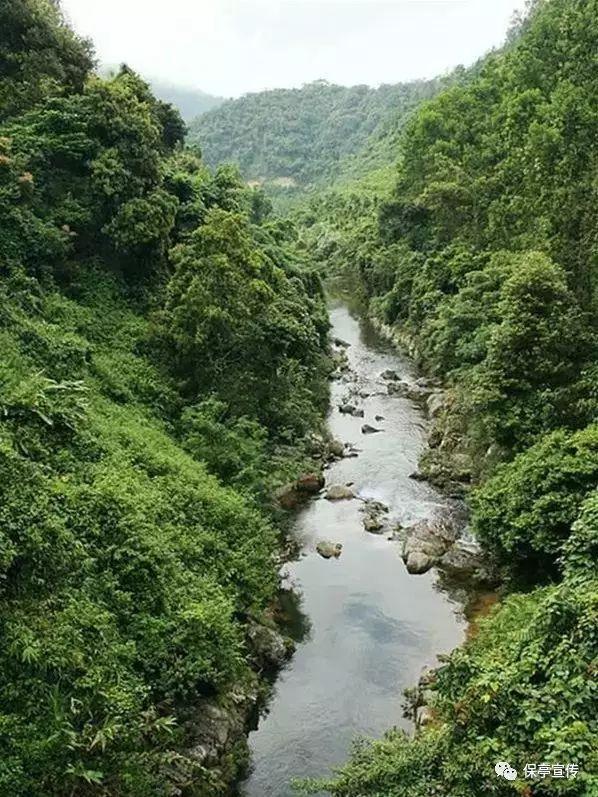 合金装备崛起复仇